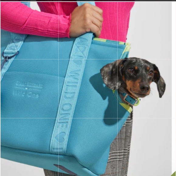 Other - NWT Wild One Teal Pet Carrier Two Side Pockets One Interior Pocket Stylish
